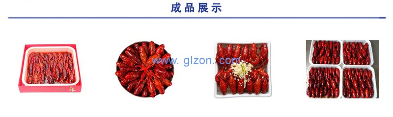 液體灌裝機(jī),稱(chēng)重灌裝機(jī),定量灌裝機(jī) 液體灌裝機(jī),稱(chēng)重灌裝機(jī),定量灌裝機(jī)