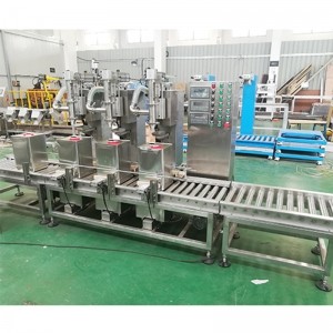 聚氨酯灌裝機 供應(yīng)多頭化工溶劑全自動中包裝灌裝生產(chǎn)線